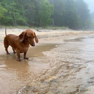 Meet your Posher, Brian